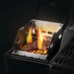 Napoleon 71302 Small Side Burner Windshield And Skewer Rack -Grill Genius Store 71302 e 06 22